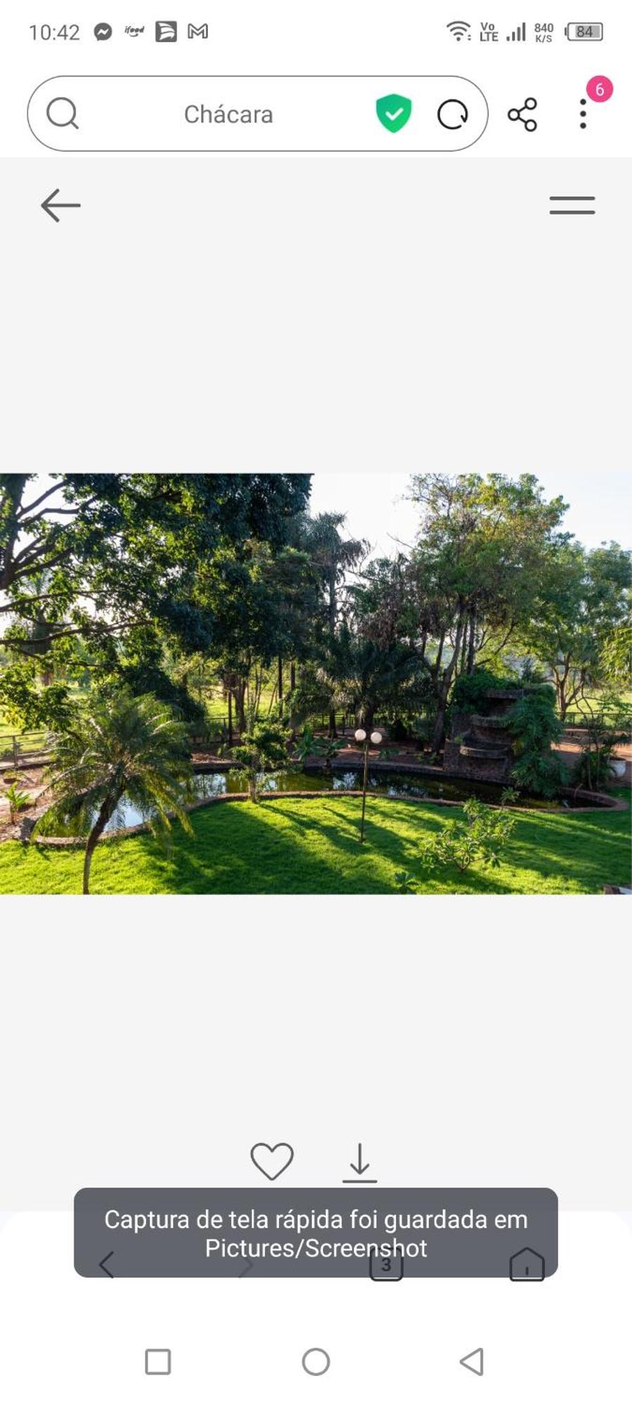 Parque Das Arvores Hospedagem E Eventos 바레투스 외부 사진